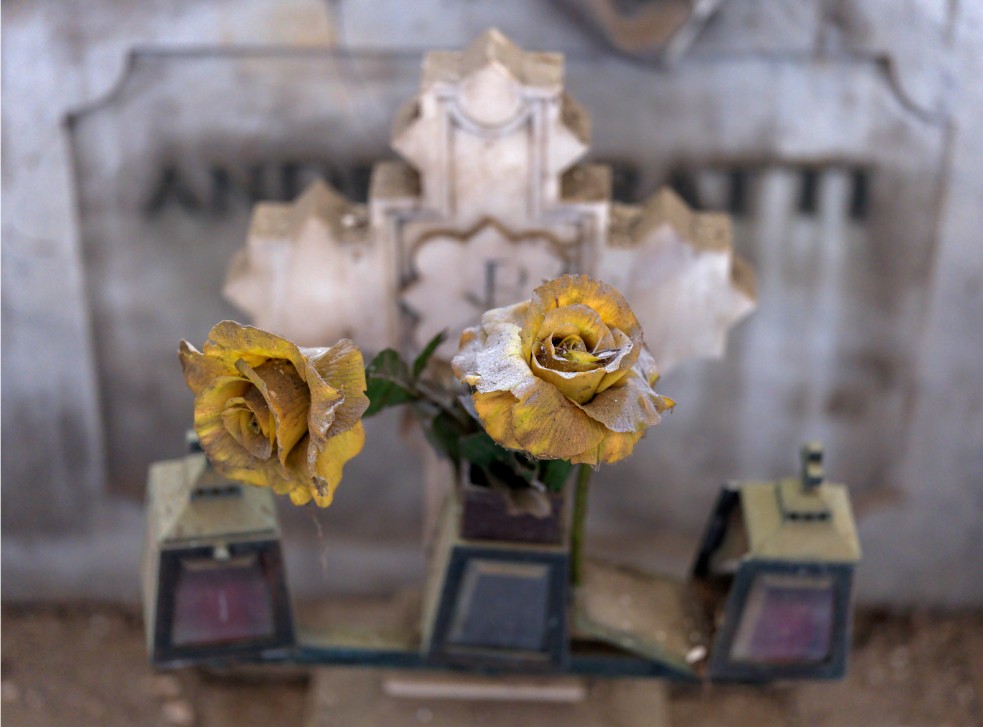 Steven Seidenberg 13